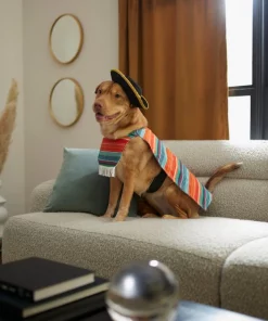 Frisco Serape Dog & Cat Costume -Frisco Sales 2024 261041 PT8. SY630 V1624339394