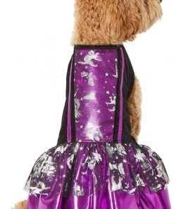 Frisco Midnight Witch Dog & Cat Costume -Frisco Sales 2024 261058 PT2. SY630 V1625076849