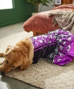 Frisco Midnight Witch Dog & Cat Costume -Frisco Sales 2024 261058 PT8. SY630 V1624400298