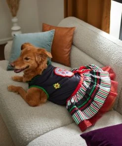 Frisco Day of the Dead Dog & Cat Costume Dress -Frisco Sales 2024 261076 PT8. SY630 V1624335820