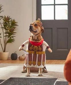 Frisco Front Walking Warrior Dog & Cat Costume -Frisco Sales 2024 261086 PT8. SY630 V1624402357