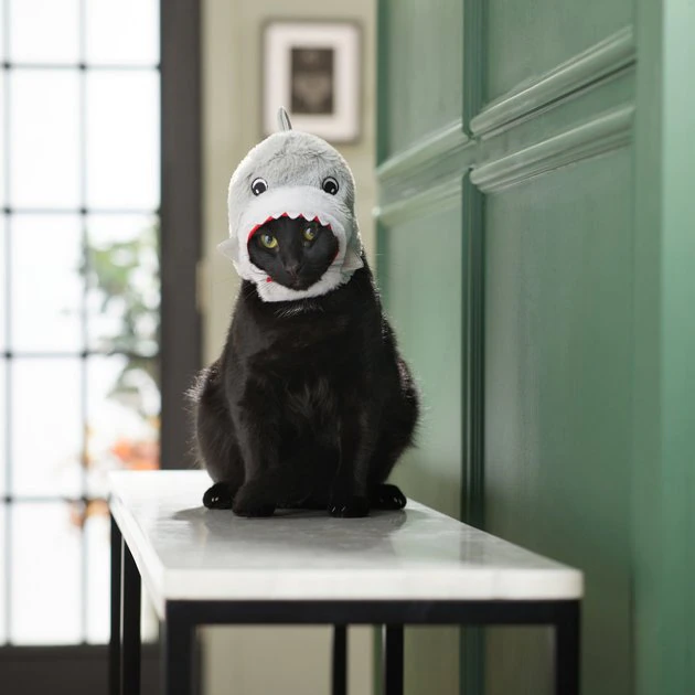 Frisco Shark Cat Costume, One Size 6 Frisco Shark Cat Costume, One Size - Image 4