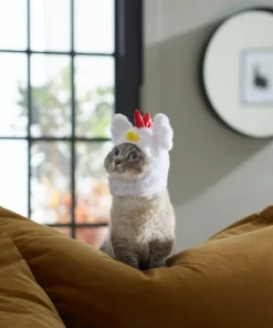 Frisco Chicken Cat Costume, One Size 9 Frisco Chicken Cat Costume, One Size -Frisco Sales 2024 261102 PT8. SY630 V1624307866