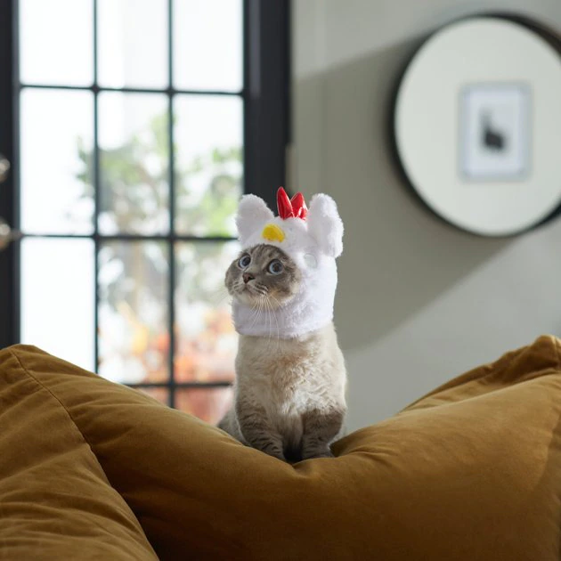 Frisco Chicken Cat Costume, One Size 6 Frisco Chicken Cat Costume, One Size - Image 4