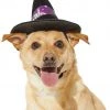 Frisco Midnight Witch Dog & Cat Hat 1 Frisco Midnight Witch Dog & Cat Hat -Frisco Sales 2024 261106 MAIN. SY630 V1631810796