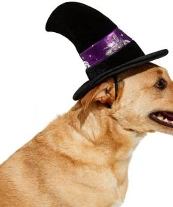 Frisco Midnight Witch Dog & Cat Hat -Frisco Sales 2024 261106 PT3. SY630 V1624306178