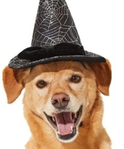 Frisco Cobweb Witch Dog & Cat Hat -Frisco Sales 2024 261109 PT2. SY630 V1625076831