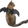 Frisco Bat Wings Dog & Cat Costume -Frisco Sales 2024 261113 MAIN. SY630 V1625076458