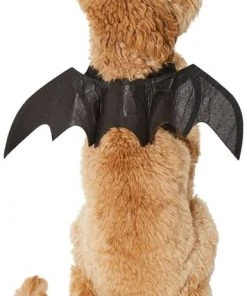 Frisco Bat Wings Dog & Cat Costume -Frisco Sales 2024 261113 PT2. SY630 V1625077070