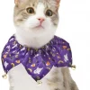 Frisco Spooky Halloween Cat Collar Ruffle, One Size -Frisco Sales 2024 261118 MAIN. SY630 V1624338513