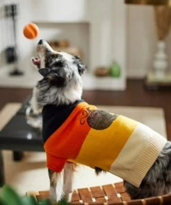 Frisco Colorblock Sequin Pumpkin Dog & Cat Sweater -Frisco Sales 2024 261141 PT8. SY630 V1624461130