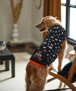 Frisco Glow in the Dark "All Eyes On Me" Dog & Cat Hoodie -Frisco Sales 2024 261155 PT6. SY630 V1633070502