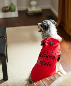 Frisco Wicked Cute Dog & Cat Hoodie 15 Frisco Wicked Cute Dog & Cat Hoodie -Frisco Sales 2024 261158 PT8. SY630 V1624398178