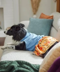 Frisco Chambray Halloween Dog & Cat Dress -Frisco Sales 2024 261165 PT8. SY630 V1624401787