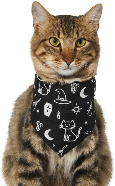 Frisco Glow in the Dark Mystical Print Dog & Cat Bandana 5 Frisco Glow in the Dark Mystical Print Dog & Cat Bandana - Image 3