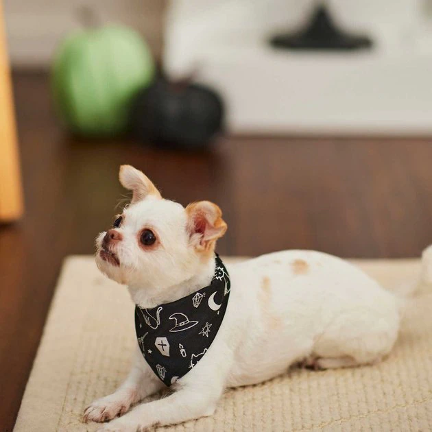 Frisco Glow in the Dark Mystical Print Dog & Cat Bandana 8 Frisco Glow in the Dark Mystical Print Dog & Cat Bandana - Image 6