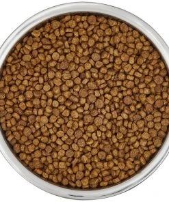 Frisco Insulated Non-Skid Flair Stainless Steel Dog & Cat Bowl, Stainless Steel 15 Frisco Insulated Non-Skid Flair Stainless Steel Dog & Cat Bowl, Stainless Steel -Frisco Sales 2024 261753 PT4. SY630 V1623937583