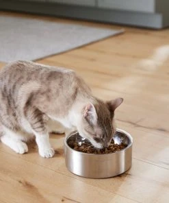 Frisco Insulated Non-Skid Flair Stainless Steel Dog & Cat Bowl, Stainless Steel 18 Frisco Insulated Non-Skid Flair Stainless Steel Dog & Cat Bowl, Stainless Steel -Frisco Sales 2024 261753 PT7. SY630 V1623937560