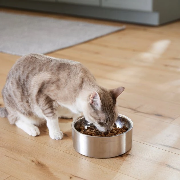 Frisco Insulated Non-Skid Flair Stainless Steel Dog & Cat Bowl, Stainless Steel 10 Frisco Insulated Non-Skid Flair Stainless Steel Dog & Cat Bowl, Stainless Steel - Image 8