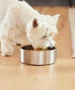 Frisco Insulated Non-Skid Flair Stainless Steel Dog & Cat Bowl, Stainless Steel 19 Frisco Insulated Non-Skid Flair Stainless Steel Dog & Cat Bowl, Stainless Steel -Frisco Sales 2024 261753 PT8. SY630 V1623937545
