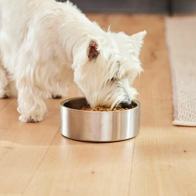 Frisco Insulated Non-Skid Flair Stainless Steel Dog & Cat Bowl, Stainless Steel 11 Frisco Insulated Non-Skid Flair Stainless Steel Dog & Cat Bowl, Stainless Steel - Image 9
