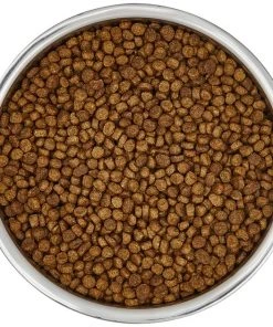 Frisco Insulated Non-Skid Stainless Steel Dog & Cat Bowl, Stainless Steel 15 Frisco Insulated Non-Skid Stainless Steel Dog & Cat Bowl, Stainless Steel -Frisco Sales 2024 261756 PT4. SY630 V1623937394