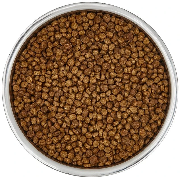 Frisco Insulated Non-Skid Stainless Steel Dog & Cat Bowl, Stainless Steel 7 Frisco Insulated Non-Skid Stainless Steel Dog & Cat Bowl, Stainless Steel - Image 5