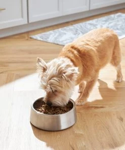 Frisco Insulated Non-Skid Stainless Steel Dog & Cat Bowl, Stainless Steel 16 Frisco Insulated Non-Skid Stainless Steel Dog & Cat Bowl, Stainless Steel -Frisco Sales 2024 261756 PT5. SY630 V1623937574