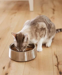 Frisco Insulated Non-Skid Stainless Steel Dog & Cat Bowl, Stainless Steel 18 Frisco Insulated Non-Skid Stainless Steel Dog & Cat Bowl, Stainless Steel -Frisco Sales 2024 261756 PT7. SY630 V1623937534
