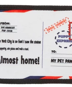 Frisco Road Trip Postcards Flat Plush Squeaky Dog Toy, 3 count -Frisco Sales 2024 262005 PT2. SY630 V1619791996