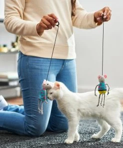 Frisco Road Trip Tourist Bouncy Mouse Cat Toy with Catnip, 2 count -Frisco Sales 2024 262018 PT3. SY630 V1618598618