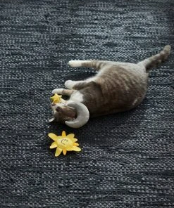 Frisco Road Trip Sun & Moon Plush Cat Toy with Catnip, 2 count 7 Frisco Road Trip Sun & Moon Plush Cat Toy with Catnip, 2 count -Frisco Sales 2024 262026 PT3. SY630 V1618598570