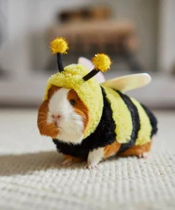 Frisco Bumble Guinea Pig Costume, One Size -Frisco Sales 2024 262166 PT8. SY630 V1624307572