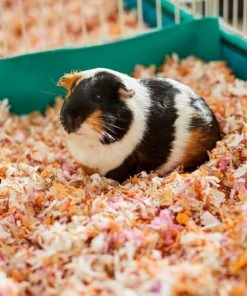 Frisco Small Pet Bedding, Multi-Colored, 56-L -Frisco Sales 2024 263930 PT5. SY630 V1625586911