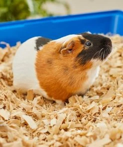 Frisco Aspen Wood Small Pet Bedding, 141-L -Frisco Sales 2024 263936 PT5. SY630 V1625586334