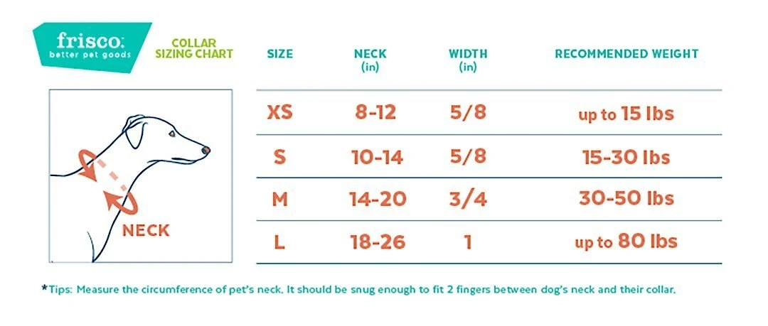 Frisco Hawaii Nights Dog Collar 4 Frisco Hawaii Nights Dog Collar - Image 2