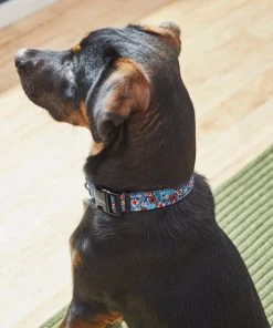 Frisco Hawaii Nights Dog Collar 9 Frisco Hawaii Nights Dog Collar -Frisco Sales 2024 264067 PT3. SY630 V1616768846