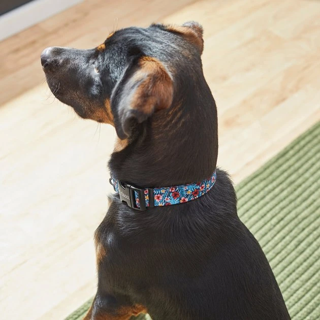 Frisco Hawaii Nights Dog Collar 6 Frisco Hawaii Nights Dog Collar - Image 4