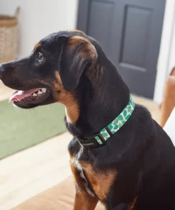 Frisco Spring Leaves Dog Collar -Frisco Sales 2024 264094 PT3. SY630 V1616776106