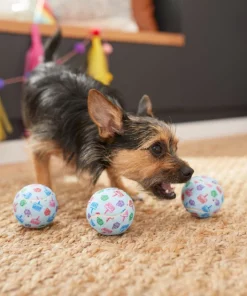 Frisco Birthday Tennis Ball Squeaky Dog Toy, 3 count -Frisco Sales 2024 264419 PT3. SY630 V1619474144