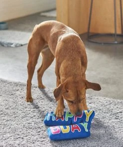 Frisco Happy Birthday Plush Dog Toy -Frisco Sales 2024 264428 PT3. SY630 V1619474117