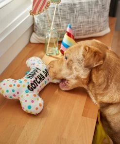 Frisco Birthday Reversible Plush Bone Squeaky Dog Toy -Frisco Sales 2024 264432 PT3. SY630 V1619474112