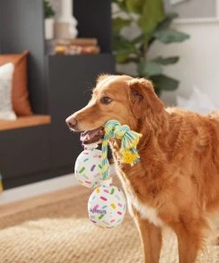 Frisco Birthday Balloon Bouquet Plush with Rope Squeaky Dog Toy -Frisco Sales 2024 264440 PT3. SY630 V1619474100