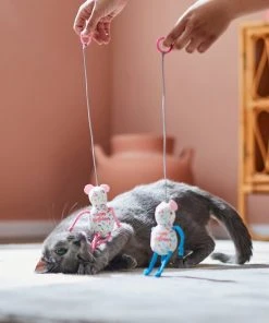 Frisco Birthday Bouncy Mouse Cat Toy, 2 count -Frisco Sales 2024 264450 PT3. SY630 V1618948718