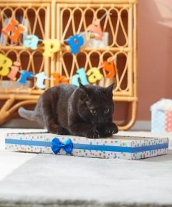 Frisco Birthday Scratcher Cat Toy -Frisco Sales 2024 264452 PT3. SY630 V1618948652
