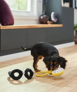Frisco Magic Pocket Watch & Glasses Plush Squeaky Dog Toy, 2 count -Frisco Sales 2024 265590 PT3. SY630 V1620938935