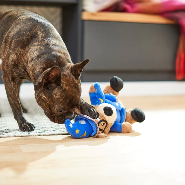 Frisco Magic Wizard Bear Plush Squeaky Dog Toy 5 Frisco Magic Wizard Bear Plush Squeaky Dog Toy - Image 3