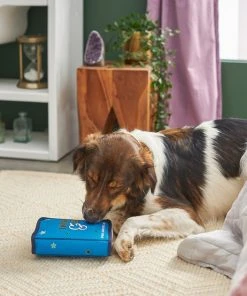 Frisco Magic Spell Book Plush Squeaky Dog Toy -Frisco Sales 2024 265608 PT3. SY630 V1620939089