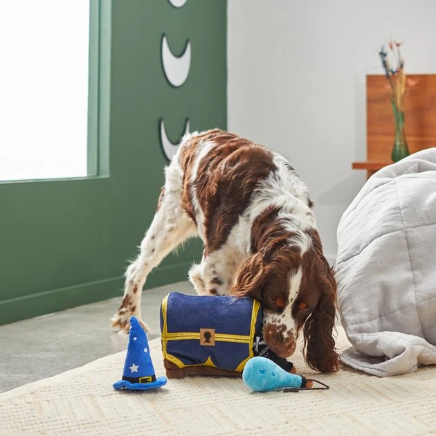 Frisco Magic Chest Hide & Seek Puzzle Plush Squeaky Dog Toy 6 Frisco Magic Chest Hide & Seek Puzzle Plush Squeaky Dog Toy - Image 4