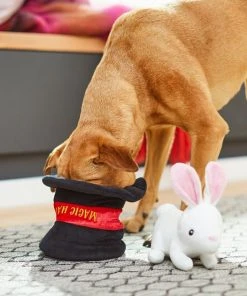 Frisco Magic Rabbit in a Hat 2-in-1 Plush Squeaky Dog Toy -Frisco Sales 2024 265616 PT3. SY630 V1623352136